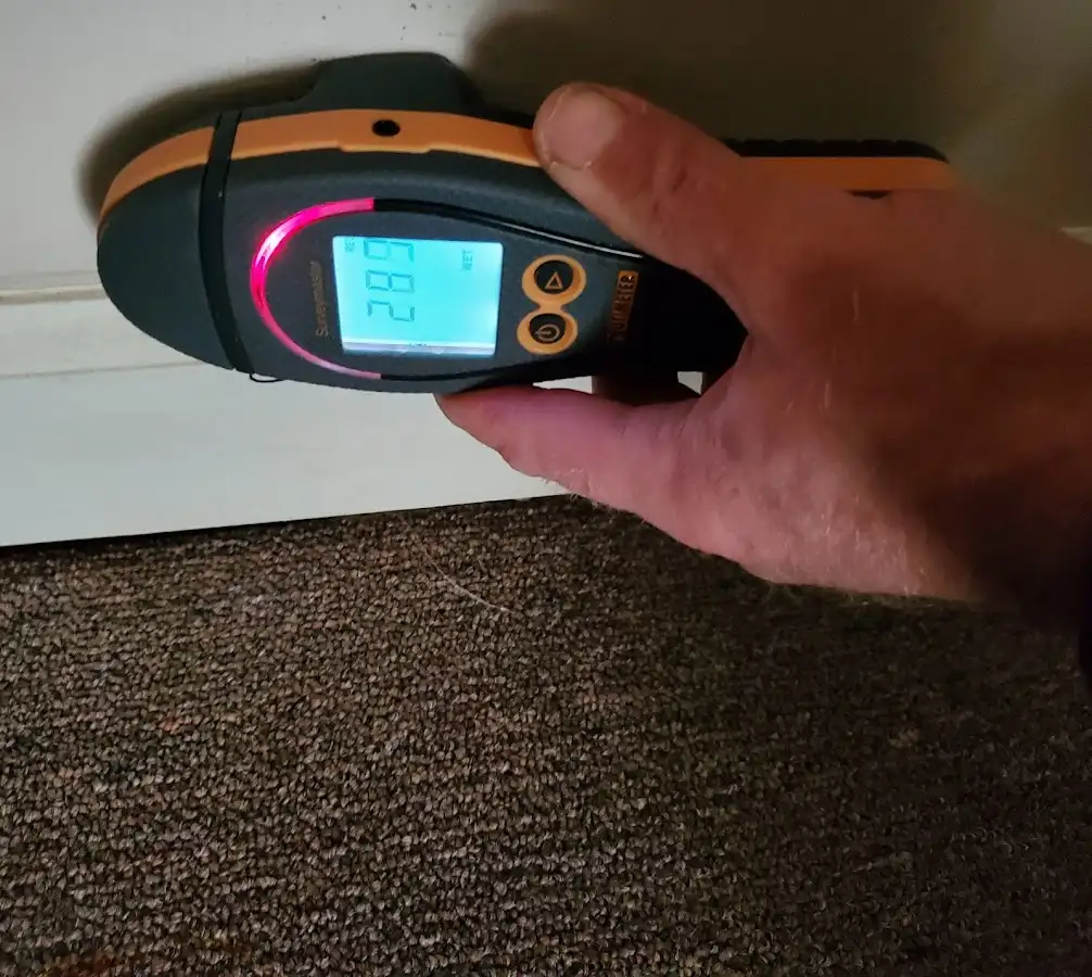 Moisture detection at baseboard during Sewage Cleanup & Sanitation in Orangetown